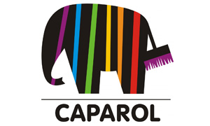 caparol - Partner